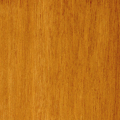 Cikel Cikel Brasilia Solids 3 1 / 4 Inch Brazilian Rosewood Hardwood Flooring