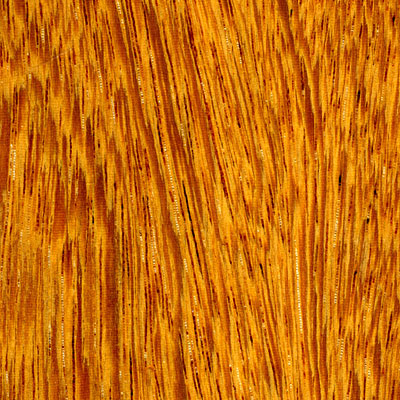 Cikel Cikel Brasilia Solids 3 1 / 4 Inch Ironwood Natural Hardwood Flooring
