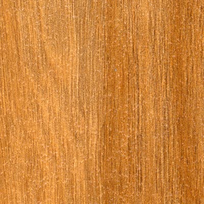 Stepco Stepco Royal Plank Sable Vinyl Flooring