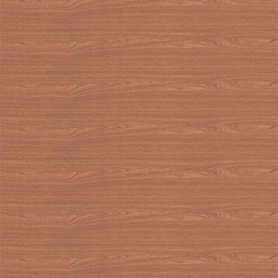 Earth Werks Earth Werks Natural Plank 4040 Vinyl Flooring