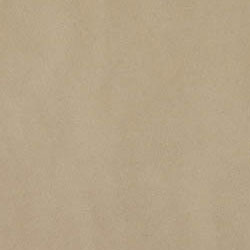 Atlas Concorde Atlas Concorde Studio 12 X 24 Beige Tile  &  Stone