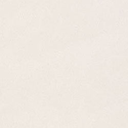 Atlas Concorde Atlas Concorde Studio 12 X 24 Ivory Tile  &  Stone