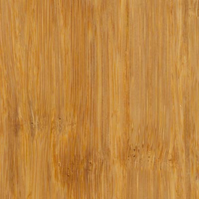 Teragren Teragren Synergy Strand Wheat Bamboo Flooring