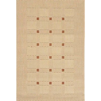 Stepco Stepco Patio Rugs 8 X 10 044 Cream Terra Area Rugs