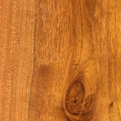 Wilsonart Wilsonart Classic Planks 5 Caryan Walnut Laminate Flooring