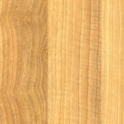 Wilsonart Wilsonart Estate Plus Planks Natural Anagre Laminate Flooring