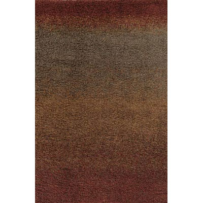 Kane Carpet Kane Carpet Visions Shag 9 X13 Ombre Rusty Area Rugs