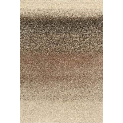 Kane Carpet Kane Carpet Visions Shag 9 X13 Ombre Salt And Pepper Area Rugs