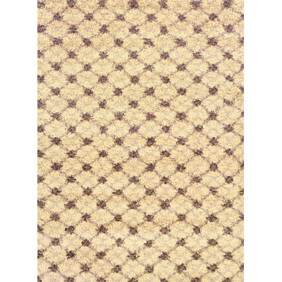 Kane Carpet Kane Carpet Visions Shag 9 X13 Trellis Salt And Pepper Area Rugs