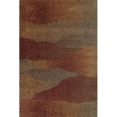 Kane Carpet Kane Carpet Visions Shag 9 X13 Waves Rusty Area Rugs