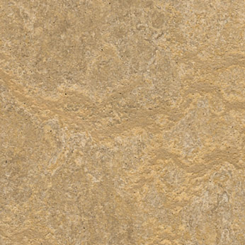 Forbo Forbo Marmoleum Sheet Neutral Color Umbra Vinyl Flooring