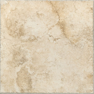 Castelvetro Castelvetro Salus 20 X 20 Abano Tile  &  Stone