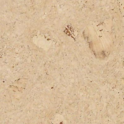 APC Cork Apc Cork Cremes Odysseus Creme Cork Flooring