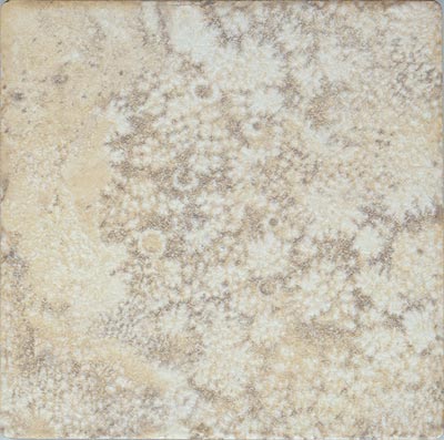 Leonardo Ceramica Leonardo Ceramica Fiorito 6 X 6 Dorato Tile  &  Stone