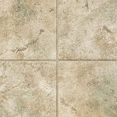 Tarkett Tarkett Preference Plus Nt - Bayhill 6 Sweet Basil Tan Vinyl Flooring
