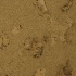 Barkley Cork Enviro Cork Luna Cork Flooring