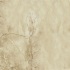 Marca Corona Aedes Regia 12 X 12 Avorio Tile & Stone