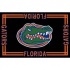 Logo Rugs Florida University Florida Area Rug 3 X 5 Area Rugs