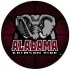 Strike Off Company, Inc Alabama University Alabama Basketball 24" Area Rugs