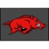 Logo Rugs Arkansas University Arkansas Entry Mat 2 X 2 Area Rugs