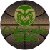 Logo Rugs Colorado State University Colorado State Basketball 4 Ft Area Rugs
