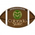 Logo Rugs Colorado State University Colorado State Football 3 X 6 Area Rugs