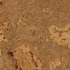 Apc Cork Colours Odysseus Night Cork Flooring