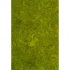 Globus Cork Glue Down Tiles 24 X 24 Spring Green C