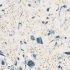 Azrock Cortinastone Blue Vinyl Flooring