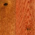 Hawa  Solid Oak Plank Butterscotch Oak Economy Har