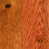 Hawa  Solid Oak Plank Butterscotch Oak Economy Hardwood Flooring