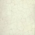 Cottovietri Glazed 1 X 1 Bianco Camastra Tile & Stone