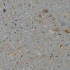 Tile Tech Pavers Granite Tech Pavers 12 X 12 X 1 Mist Gold Tile & Stone