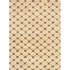 Kane Carpet Visions Shag 9 X13 Trellis Salt And Pe