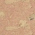 Apc Cork Colours Odysseus Rose Cork Flooring